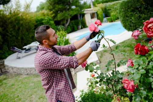 Gardening services homepage for Camberwell