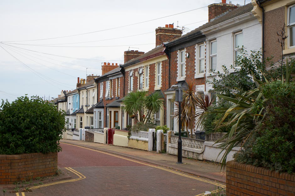 A small, cluttered garden space at a terraced home with a brick exterior, featuring a variety of potted plants and gardening tools arranged along the edges. In the foreground, large leafy greens and o