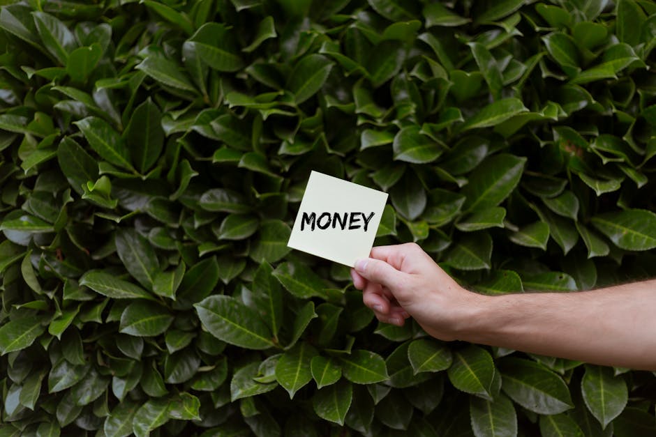 A close-up of a well-maintained garden hedge with dense, glossy green leaves, some showing a slightly lighter hue along their central veins. In the foreground, a person's hand is holding a small white
